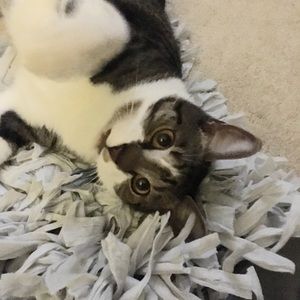 Meet your Posher, Kathy